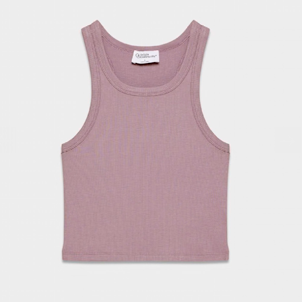 FREE Mauve Aritzia Honor Crop Top